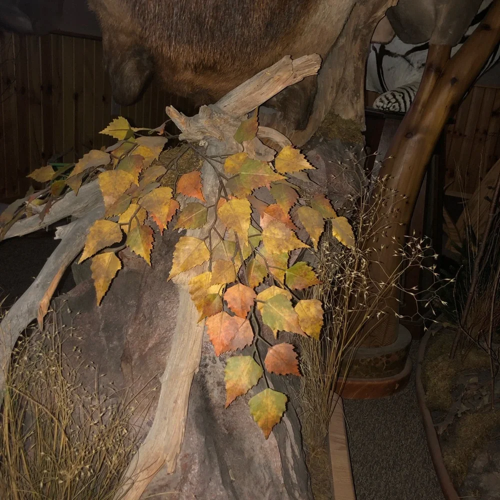 Elk mount